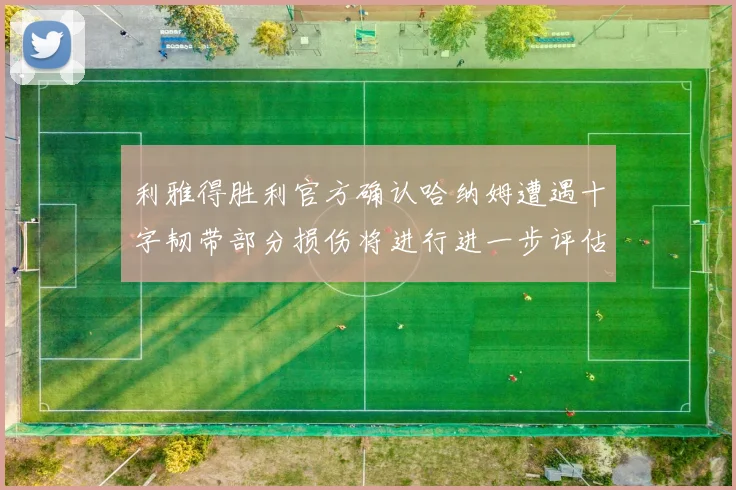 利雅得胜利官方确认哈纳姆遭遇十字韧带部分损伤将进行进一步评估